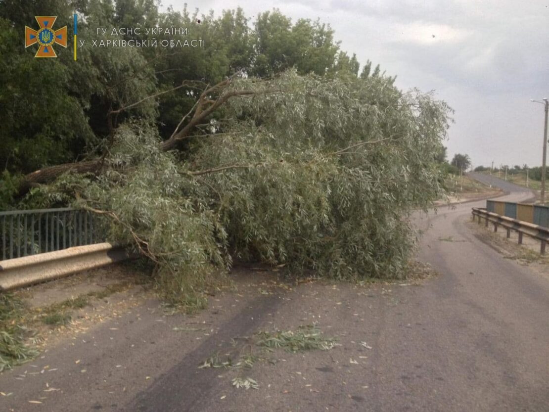 На Харьковщины упавшие деревья перегородили дорогу