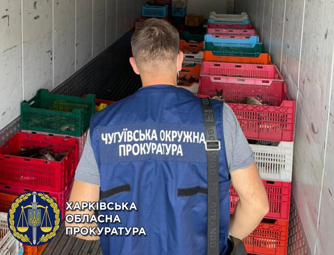 Новости Харькова: На Харьковщине браконьеры снабжали рыбой супермаркеты
