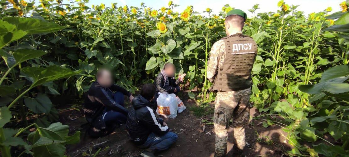 Новости Харькова: В подсолнухах на границе с РФ скрывались преступники 