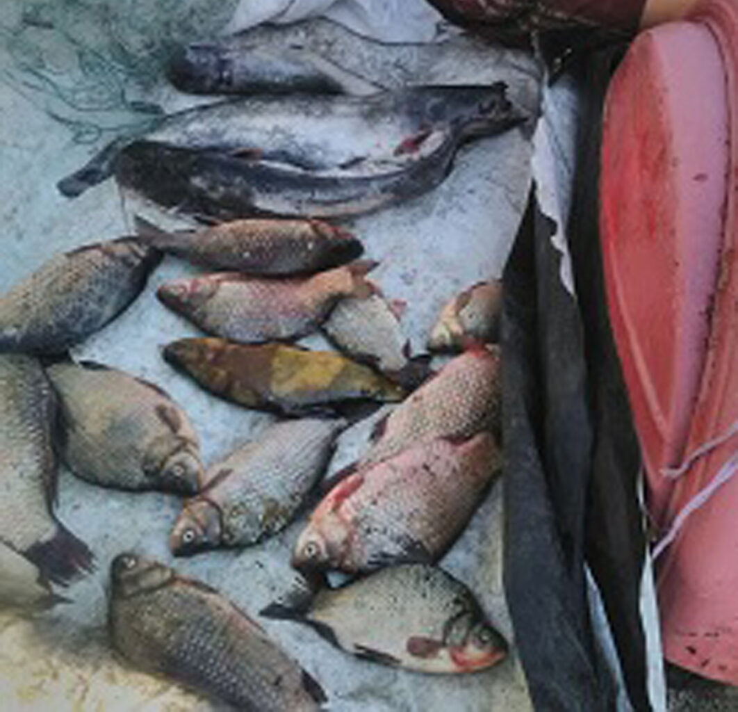 На Оскольском водохранилище 2 августа поймали браконьера