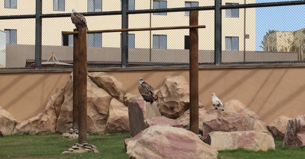 Новости Харькова: В зоопарке заселили авиарий