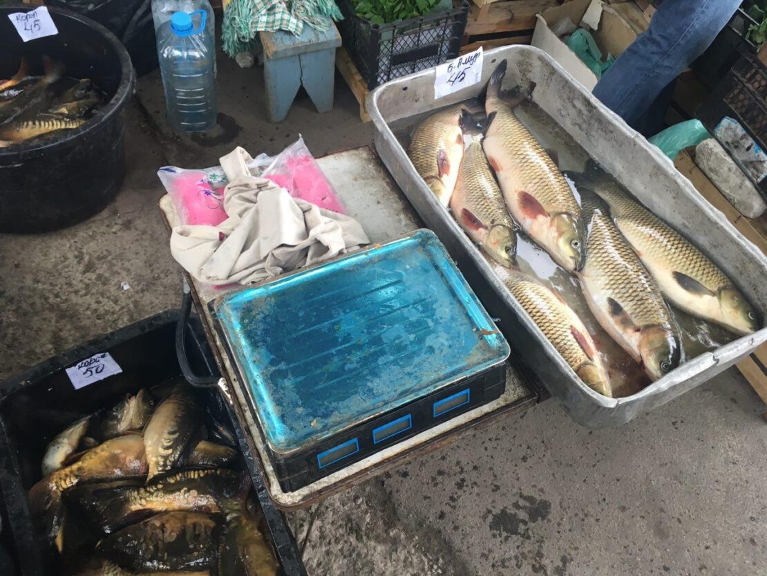 Новости Харькова: На рынках нелегально продавали рыбу и раков