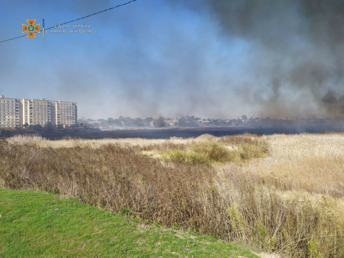 Пожар на Харьковщине: В Балаклее горел камыш, огонь подошел к домам