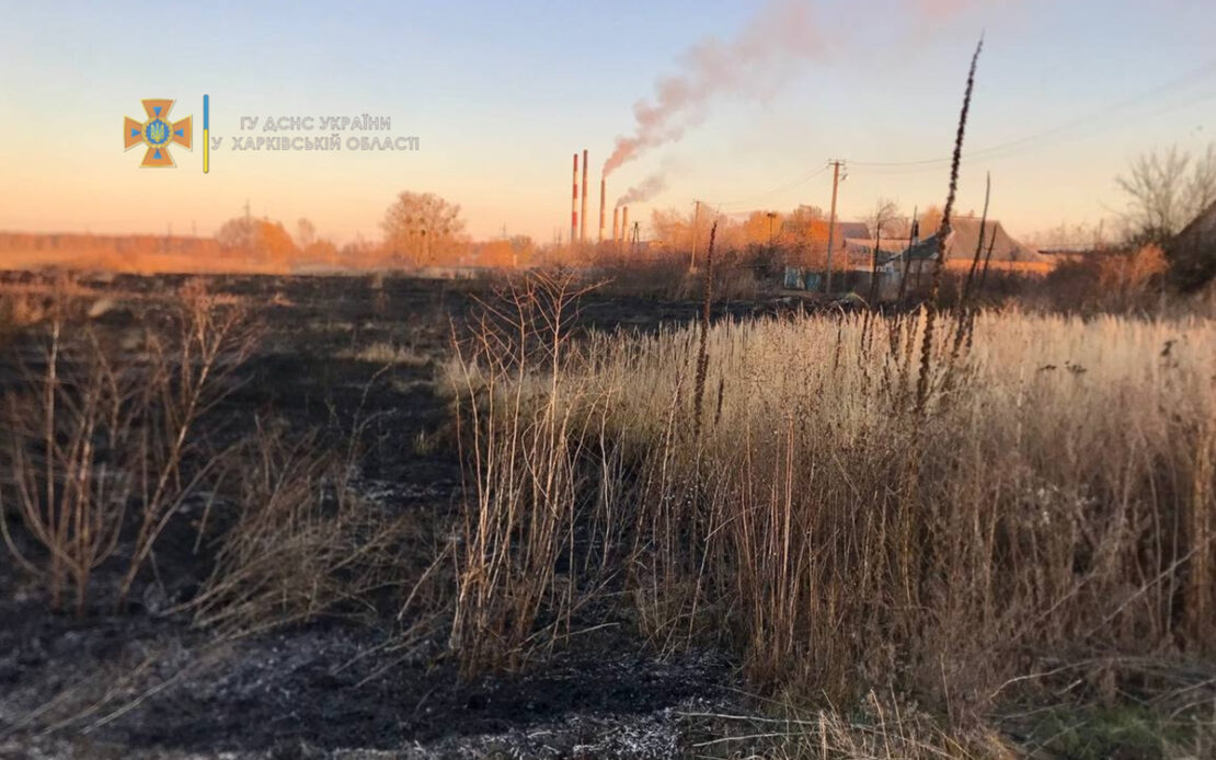 Пожар Харьков:  В поселке Лиман горел сухостой, пострадал мужчина