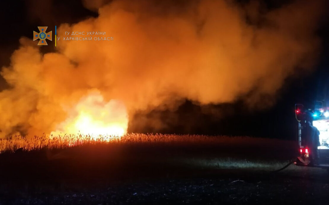Пожар Харьков:  В поселке Лиман горел сухостой, пострадал мужчина