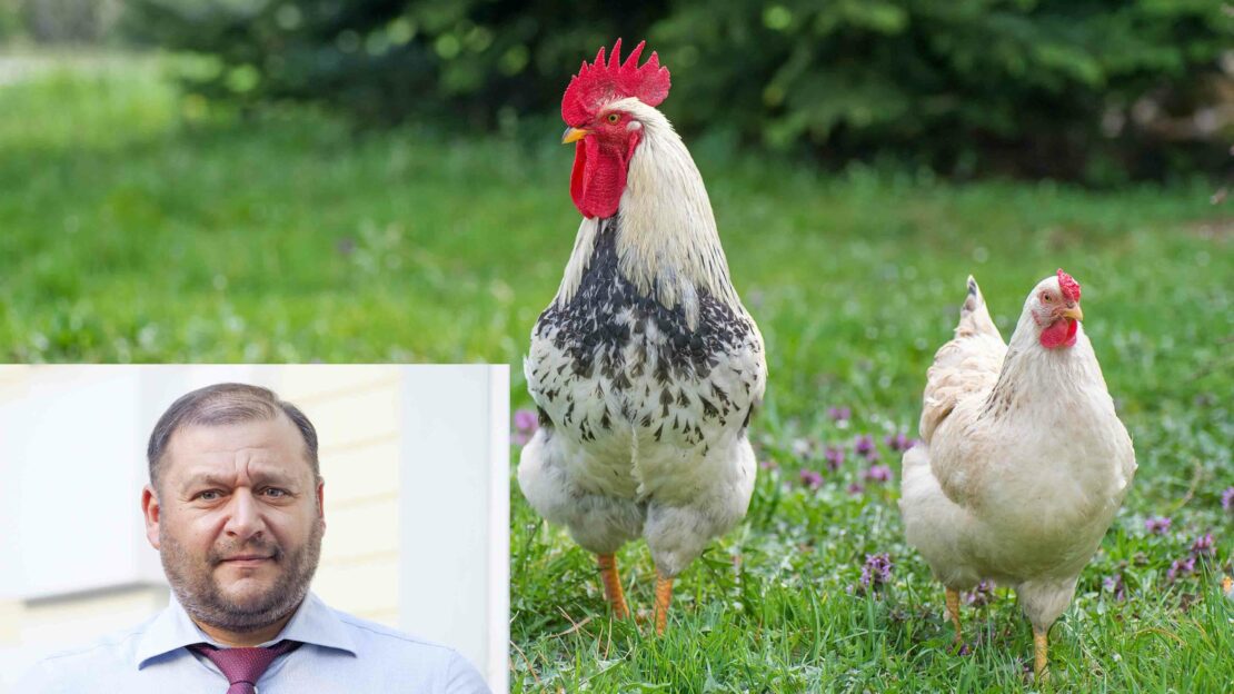 Выборы мэра Харькова 2021: Добкин ведет предвыборную кампанию за средства украденной птицефабрики
