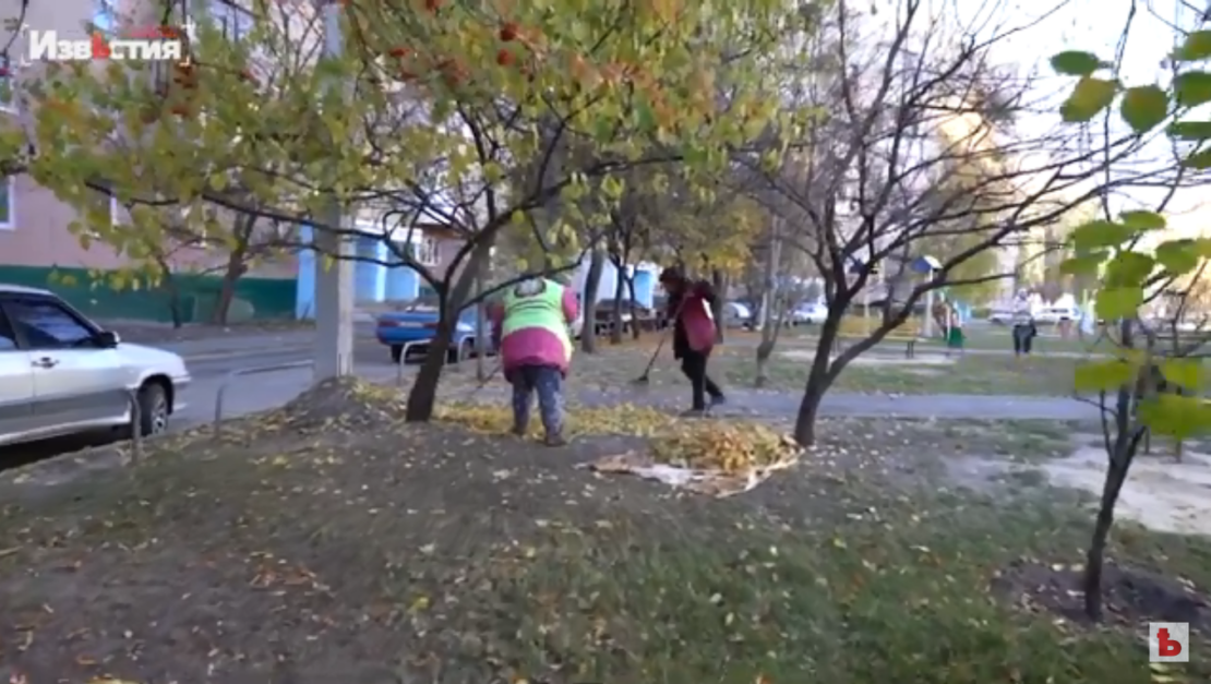 Во дворах Харькова городские коммунальщики убирают листву