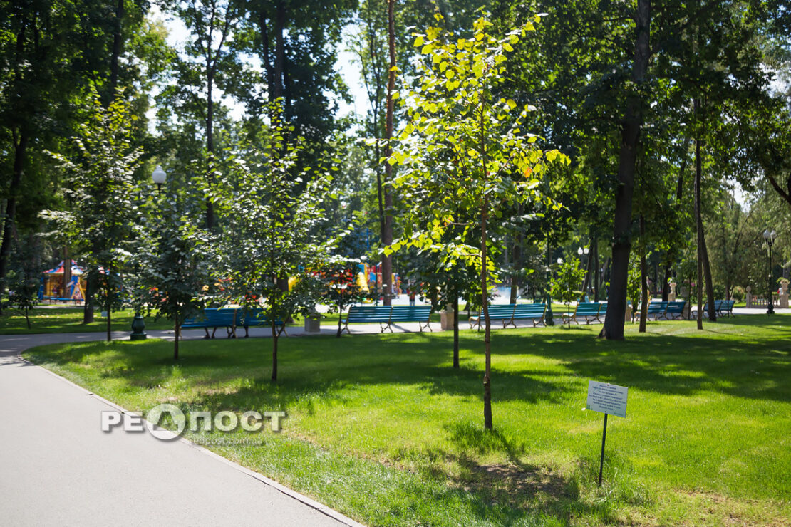Центральный парк Харькова: каким был и каким стал парк Горького (фото)