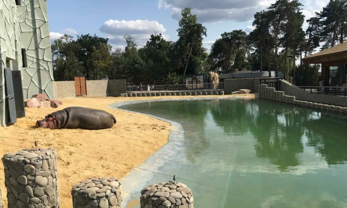 Как работает Харьковский зоопарк в условиях "оранжевой" зоны