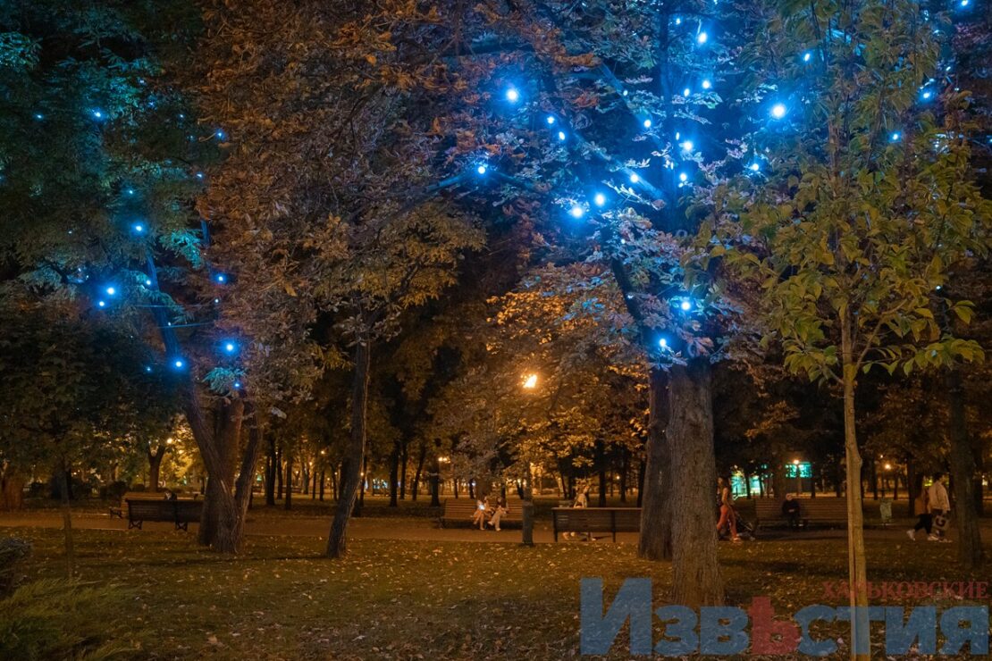 Фонарики-лампочки на деревьях в саду Шевченко - Фото Харькова