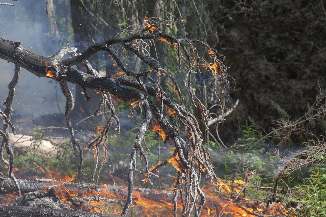 Спасатели напоминают о запрете сжигания листвы