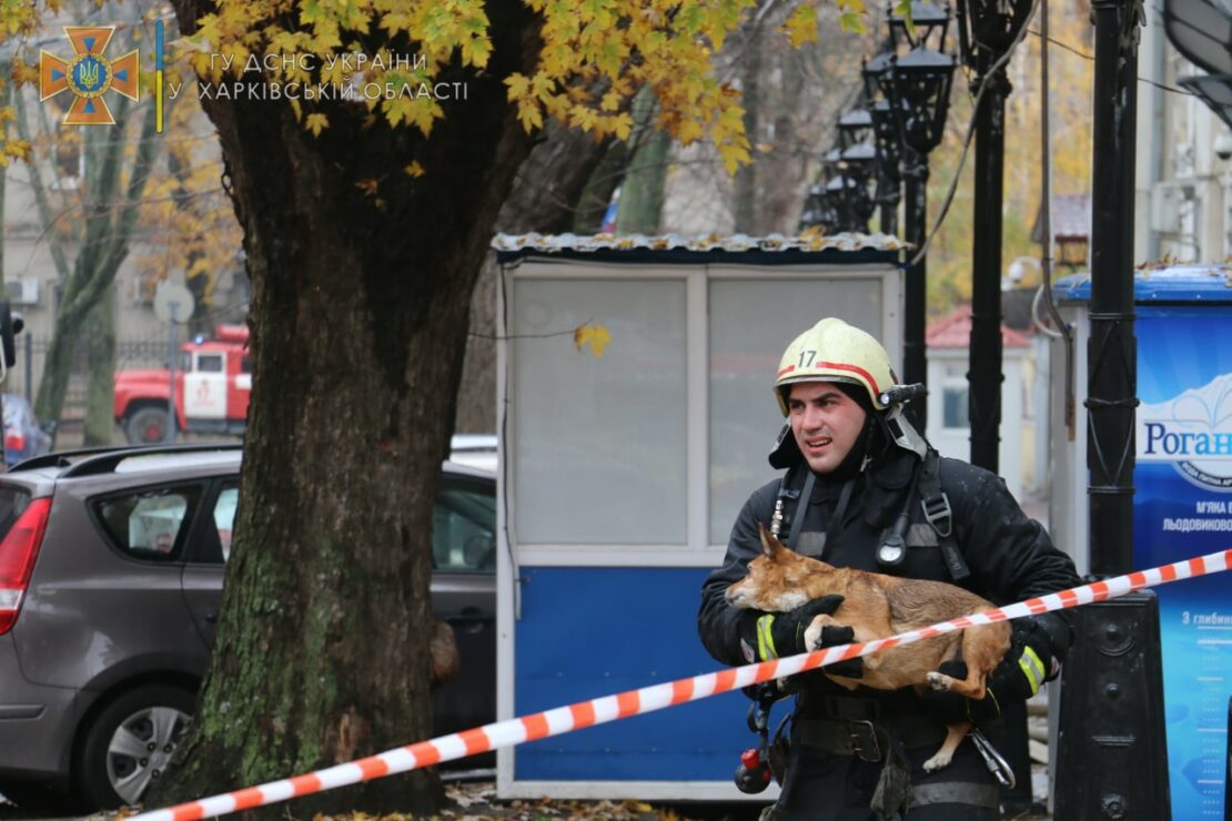 Пожар Харьков: На улице Максимилиановской, 16 людей из огня выносили на руках