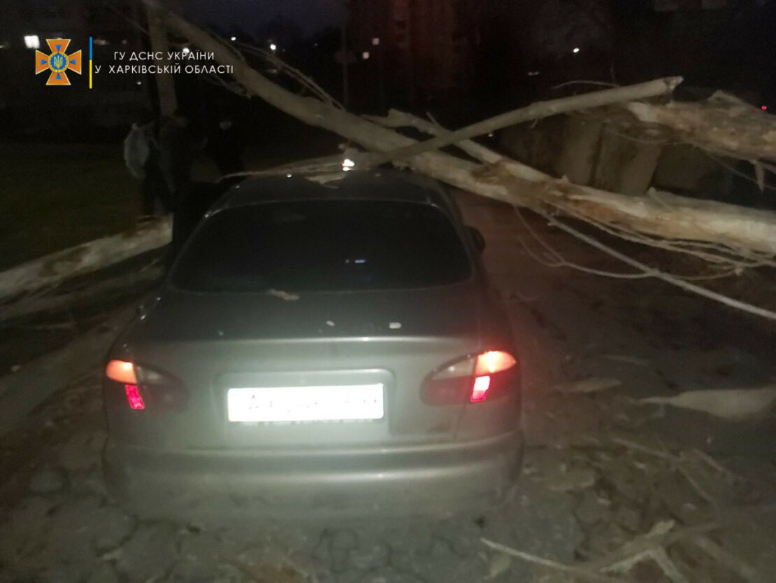 Последствия циклона Benedikt в Харькове 29 ноября 2021 года 
