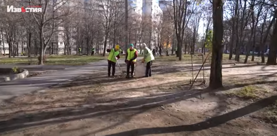 Зачем в Харькове убирают листву