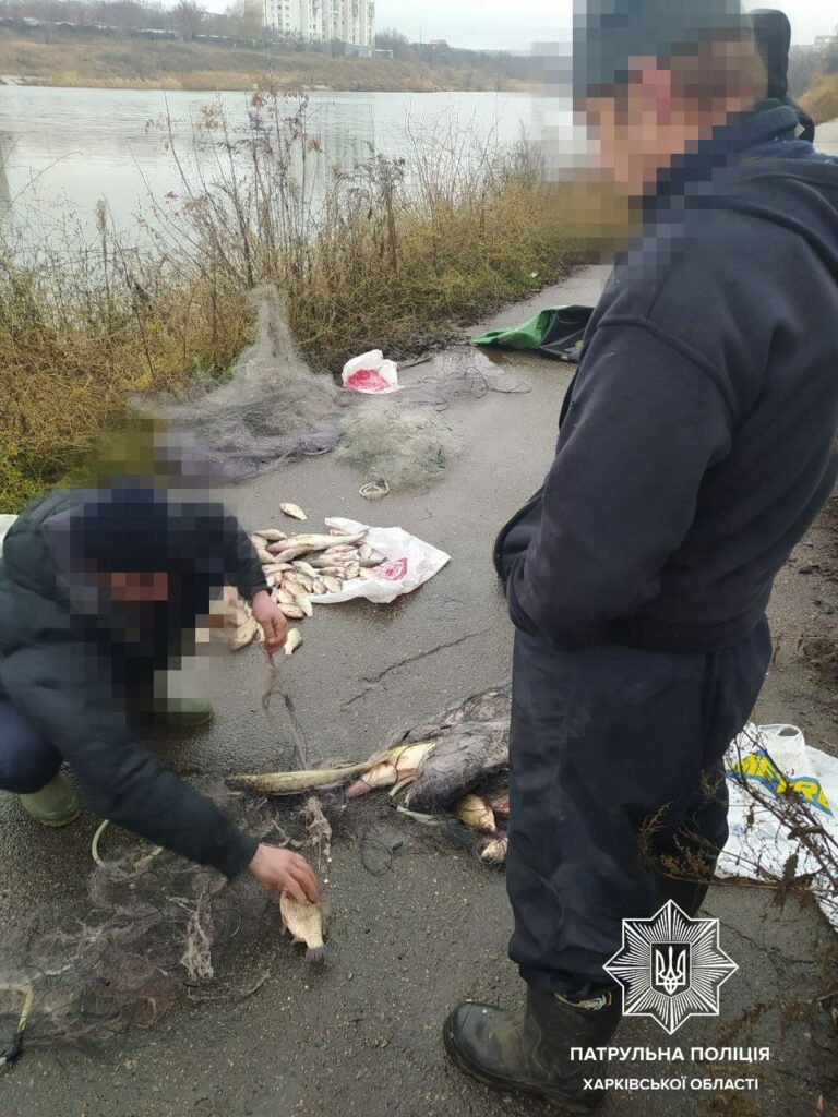 На Алексеевском водохранилище пресекли незаконный вылов рыбы
