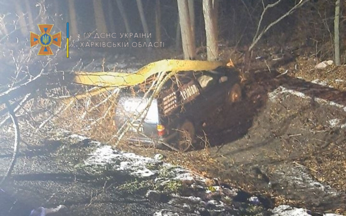 ДТП на трассе Харьков-Киев-Довжанский: на автомобиль Nissan упало дерево - пострадали два человека