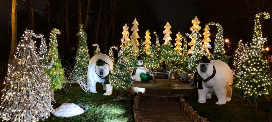 В Центральном парке Харькова зажглись новогодние огни - фото