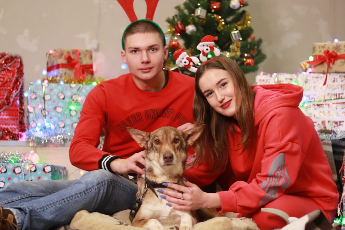 В Харьковском приюте для животных состоится фотосессия 