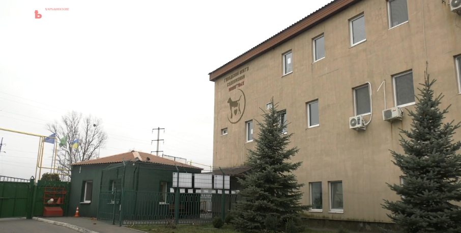 В Харькове создадут реабилитационный центр для домашних животных
