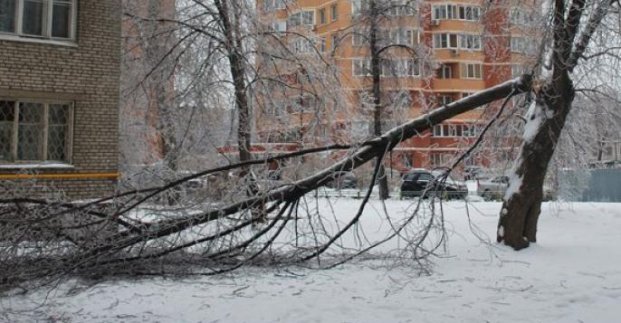 Харьковские коммунальщики устраняют последствия стихии