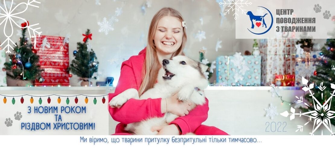 Харьковский приют для животных проводит акцию "В Новый год — новый пес и новый кот"
