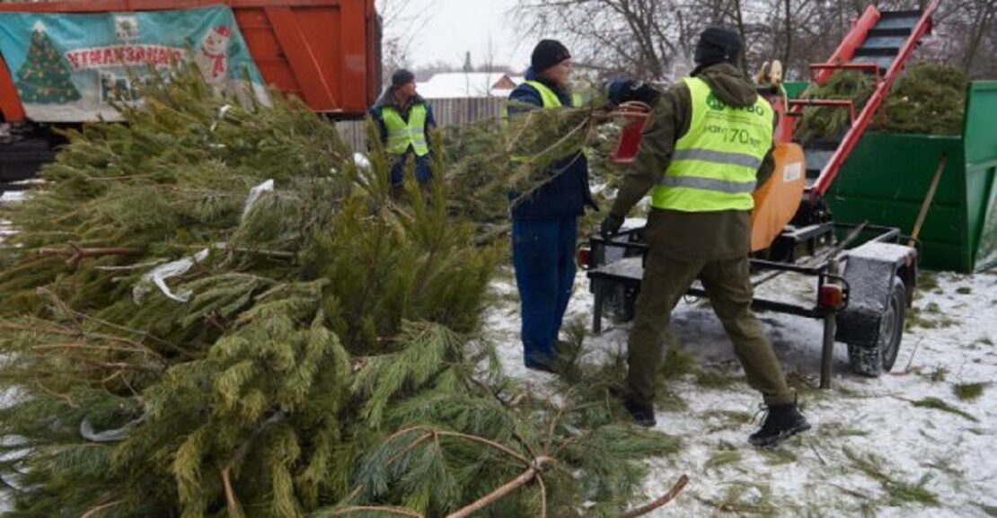 Утилизация новогодних елок в Харькове 2022