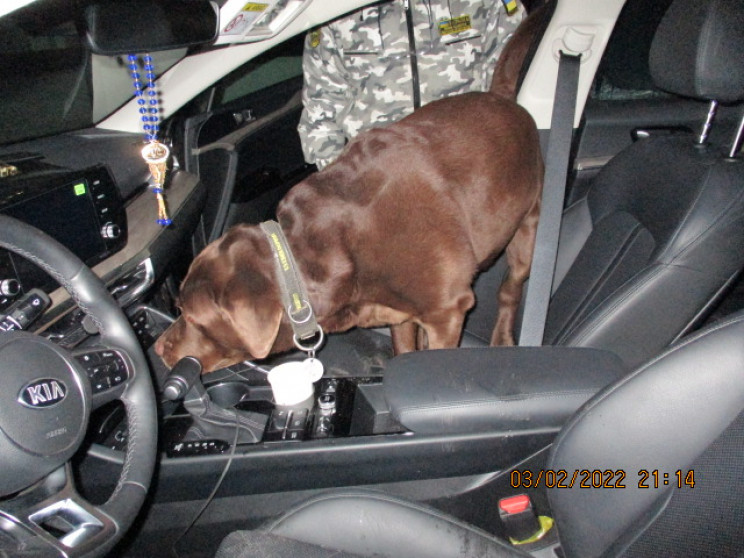 Таможня Харьков: Наркотики в тайнике авто нашла собака 