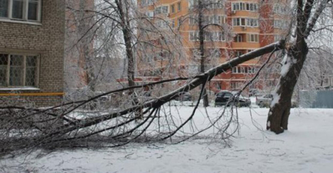 Непогода Харьков: Дерево упало на автомобиль 17.02.2022