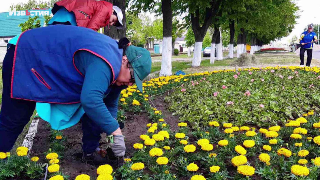 Город-герой Харьков c каждым днём расцветает всё больше