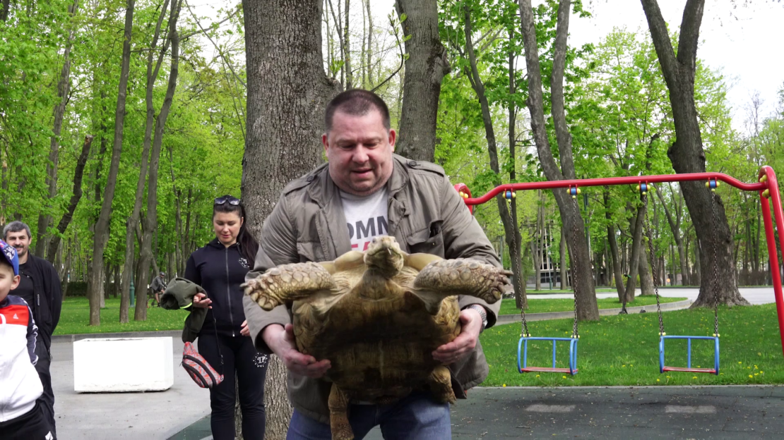 В Харькове выгуливают 40-летнюю черепаху Боню