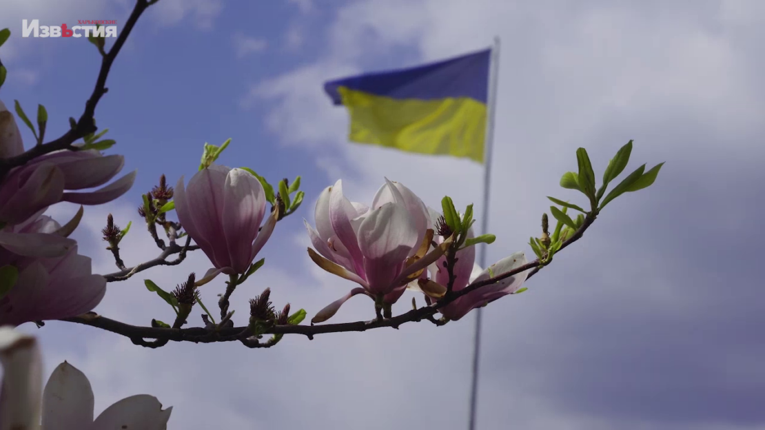 Бойцы коммунального фронта Харькова на страже чистоты и благоустройства города 