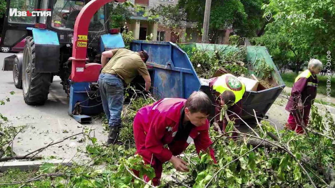 Благоустройство Харькова: коммунальные службы продолжают приводить в порядок город (видео)