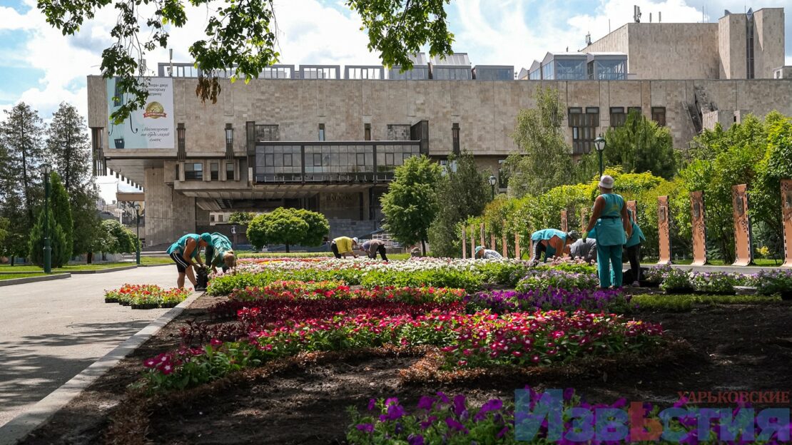 Фото Харків війна: Квіти у саду Шевченка