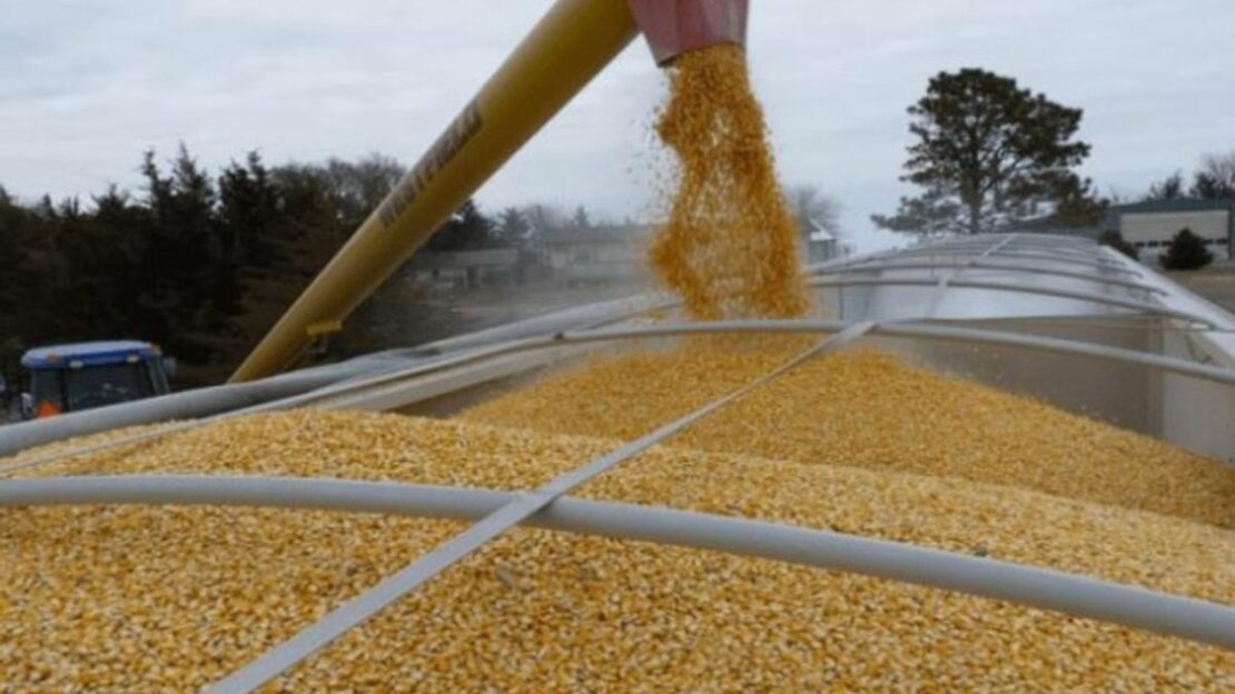Германия поможет Украине ускорить экспорт зерна