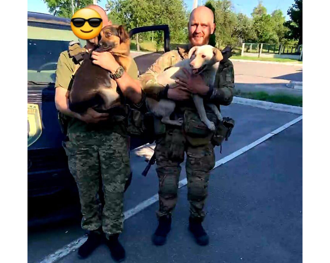 Война Харьковская область: Военные спасли собак от вражеских обстрелов