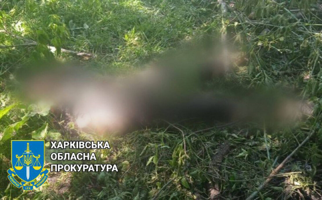 Війна на Харківщині: Окупанти обстріляли село Уди - є загиблі