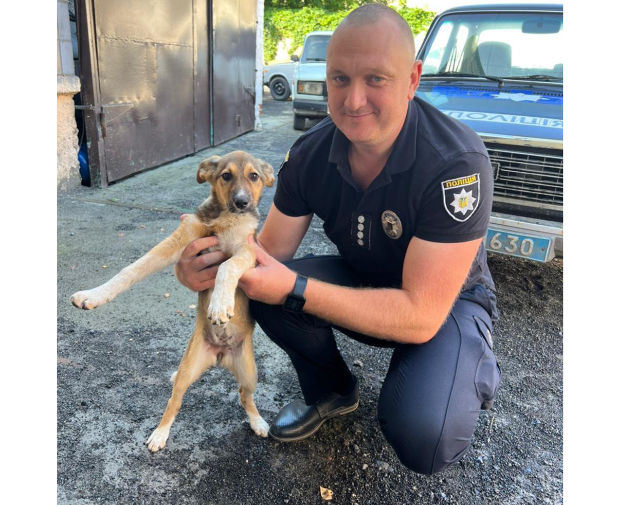 Війна на Харківщині: Поліцейські врятували собаку та назвали її Джавеліною