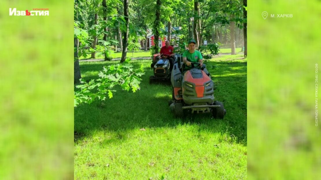 С ними и трава зеленее: работы в парке Горького по благоустройству территории (видео)
