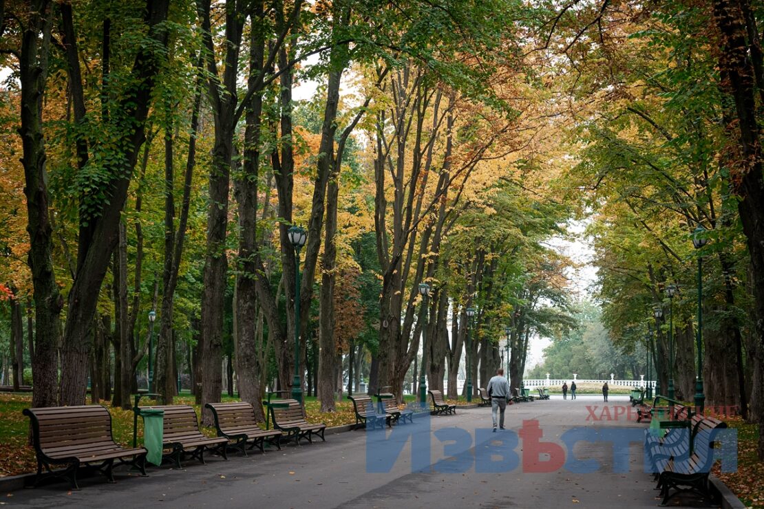ФОТО Харків: Сад Шевченка 2022 - яскраві барви проти осінньої депресії