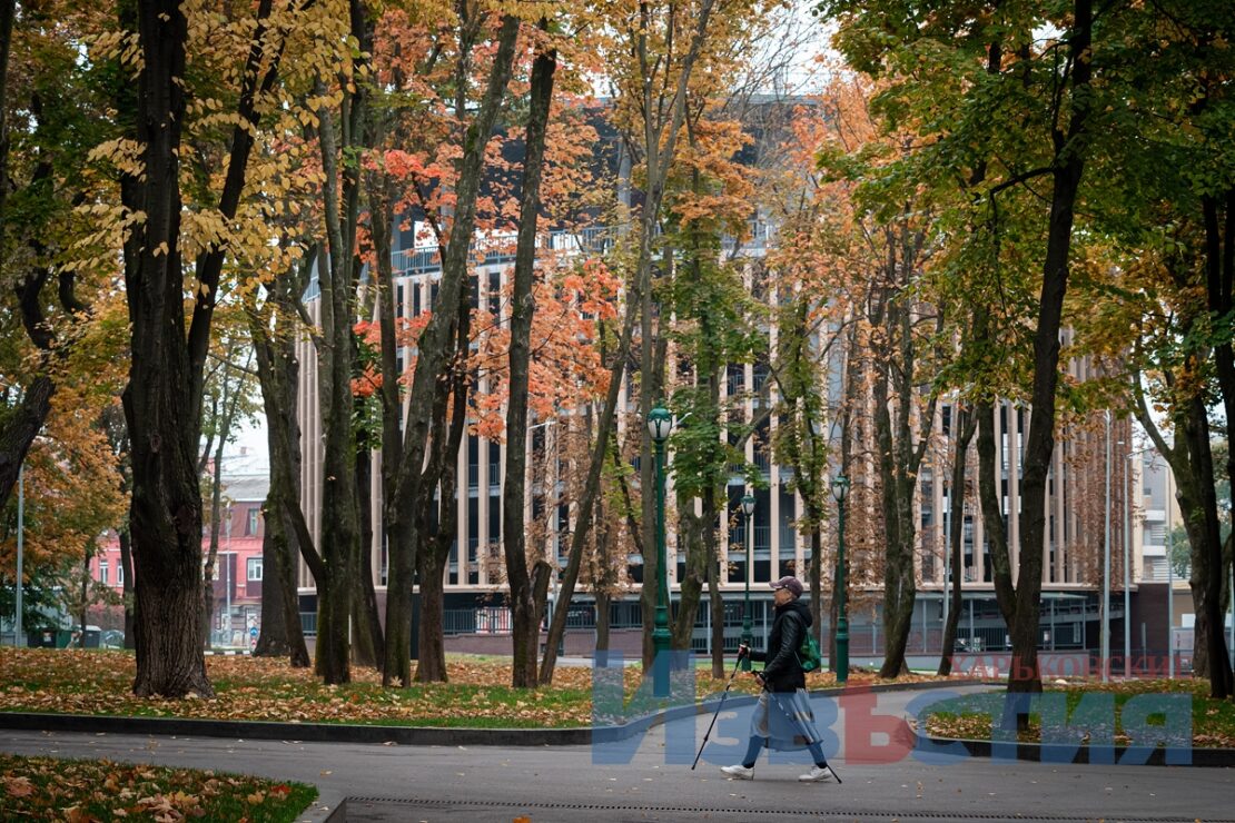 ФОТО Харків: Сад Шевченка 2022 - яскраві барви проти осінньої депресії