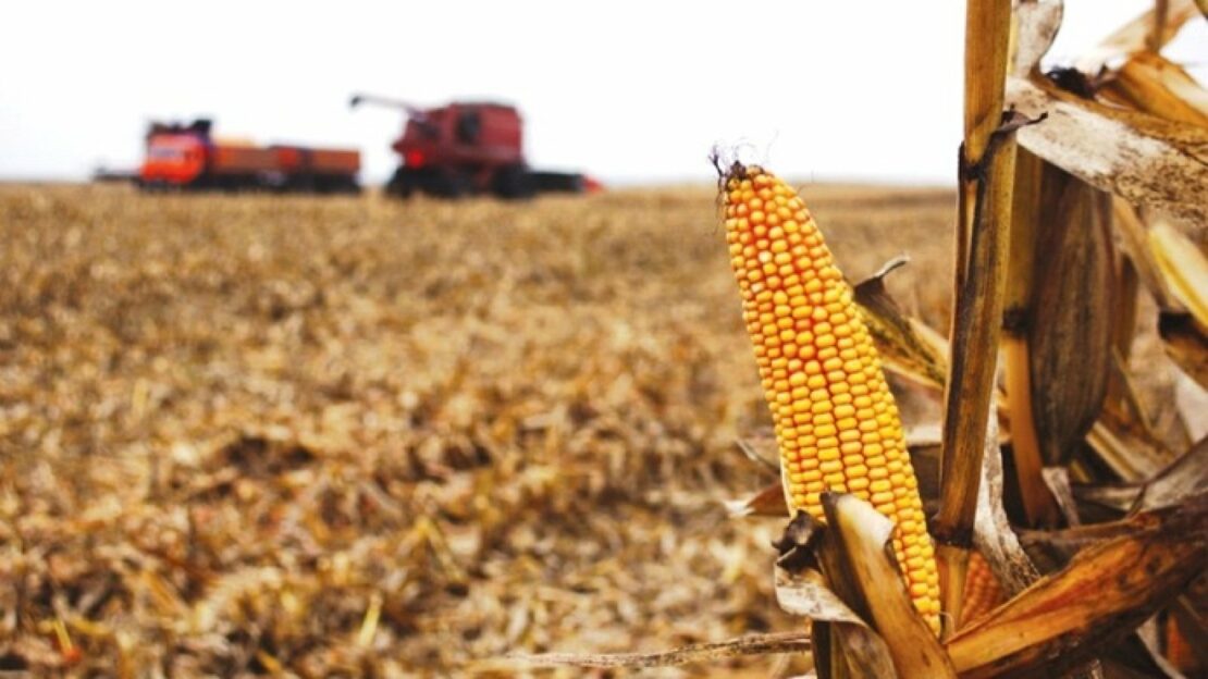 Новини Харківщини: Аграрії розпочали збір зерна кукурудзи 2022
