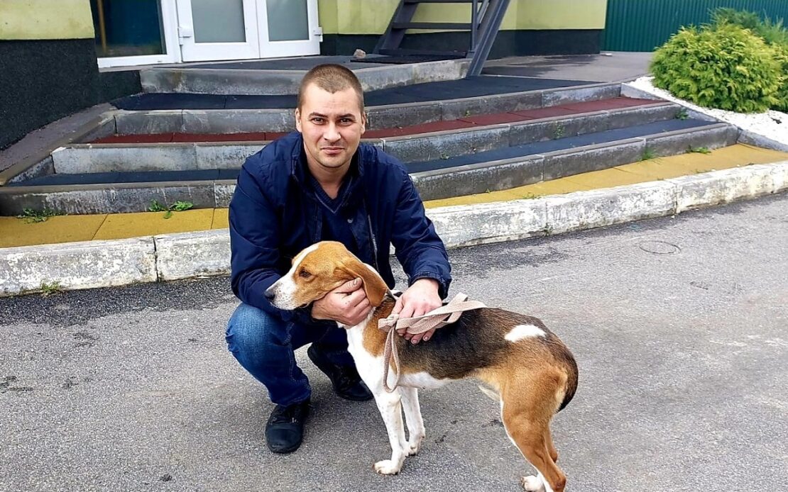 Новини Харків: Собака з деокупованого села через 5 місяців повернулася додому