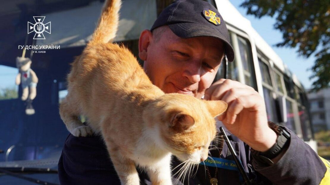 Новини Харківщини: Київський рятувальник прихистив кота Ізюма