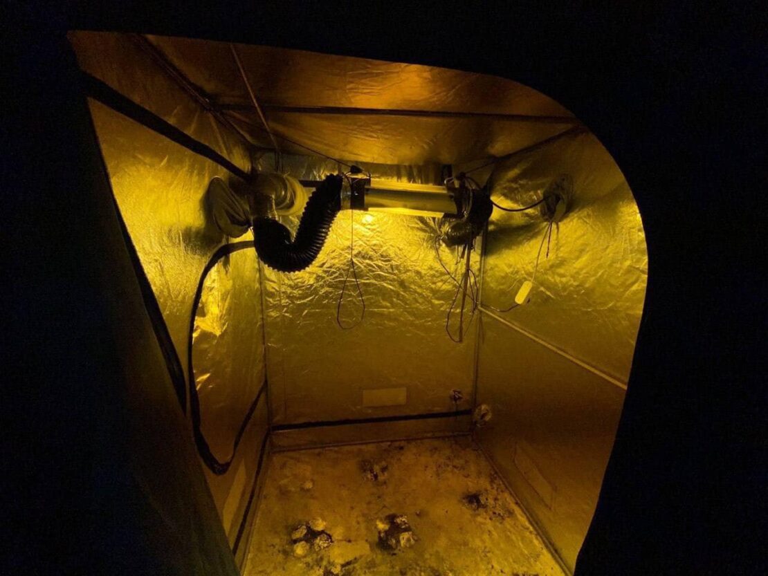 Новини Харкова: Знайдено дві підземні нарколабораторії з коноплями