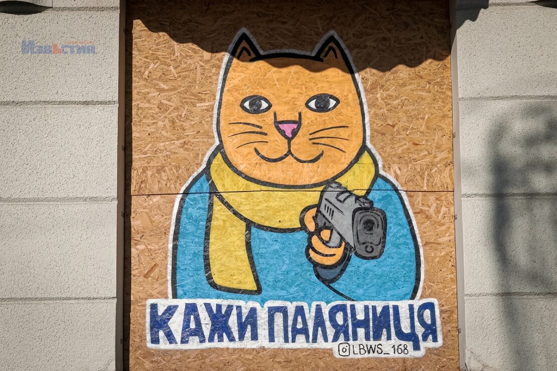 Новини Харкова: Центр прикрасили бойові одеські котики (фото)