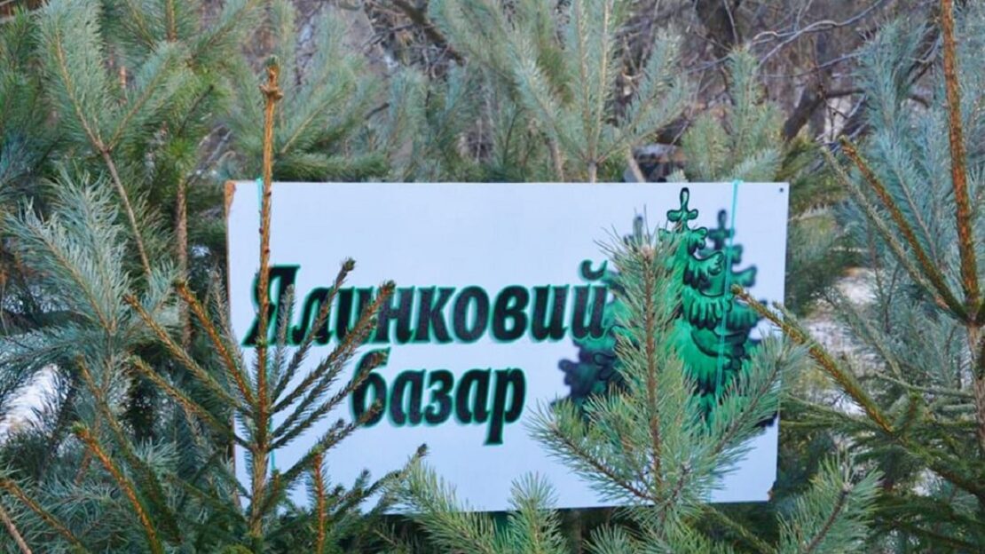 Лісгоспи Харківської області розпочали реалізіцію новорічних ялинок