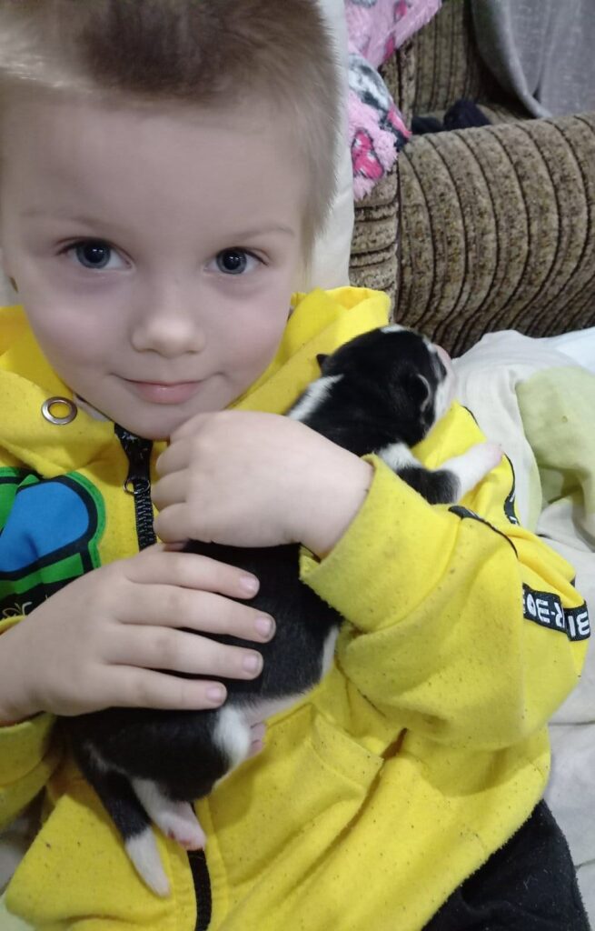 Допоможіть знайти: 5-річний хлопчик загубився при евакуації з селища Куп’янськ-Вузловий на Харківщині