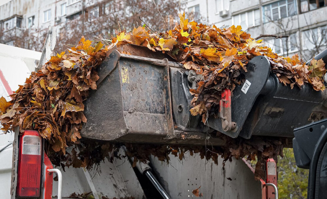 Новини Харкова: Комунальники прибрали майже все опале листя 