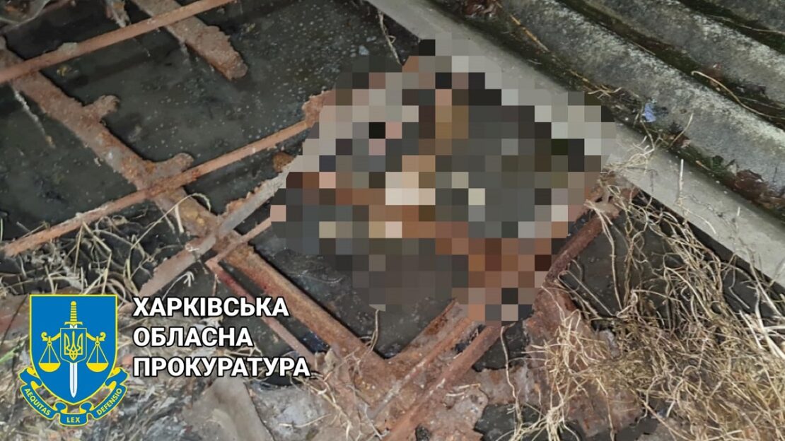 Вбивство на Харківщині: у смт Козача Лопань син зарізав батька