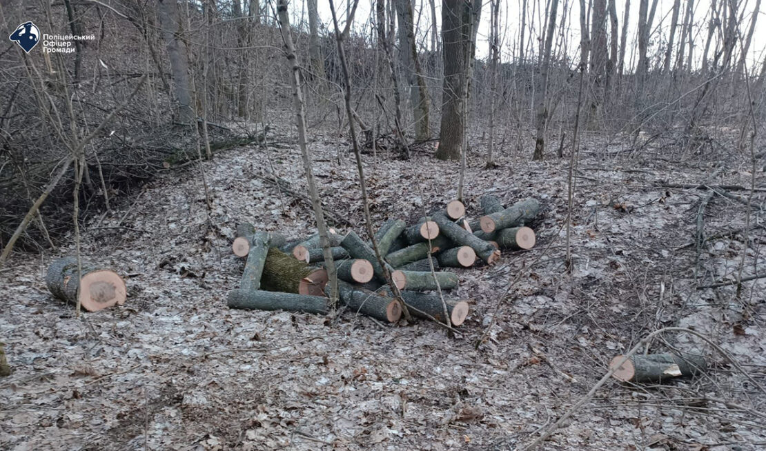 На Харківщині у селі Протопівка чоловіки незаконно вирубали дерева 